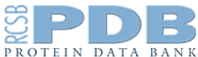 PDB: Protein Data Bank